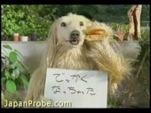 Weird, funny, and plain disturbing Japanese commercial