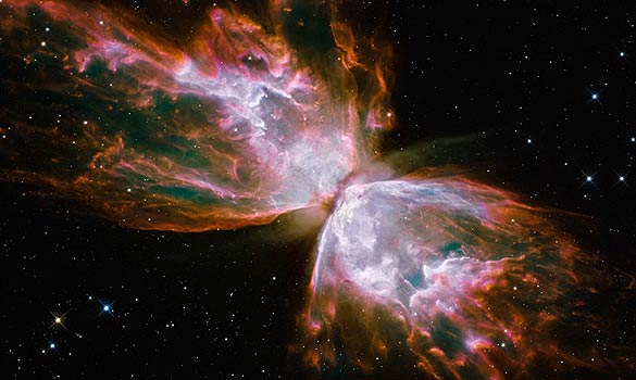 butterfly nebula