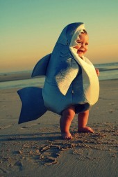 sharkbaby