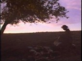 Grim Prairie Tales: Unbirth