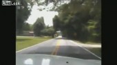 Man steals police car, then crashes