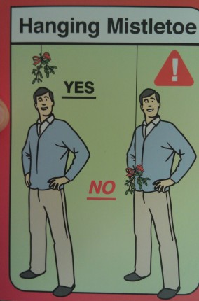 mistletoe