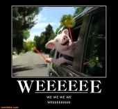 weeeeeeeweweweeee