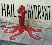 whoops looks like something went wrong hydra